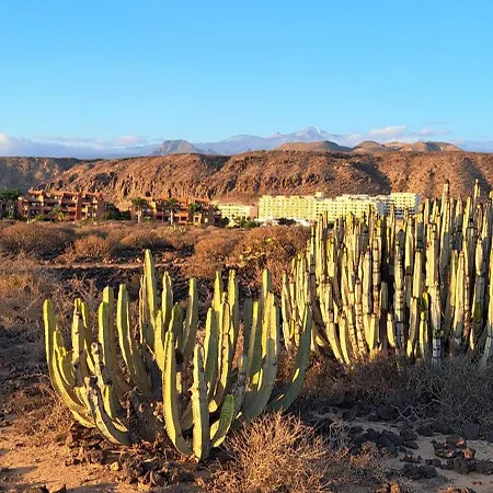 公寓 Casa Jardina *